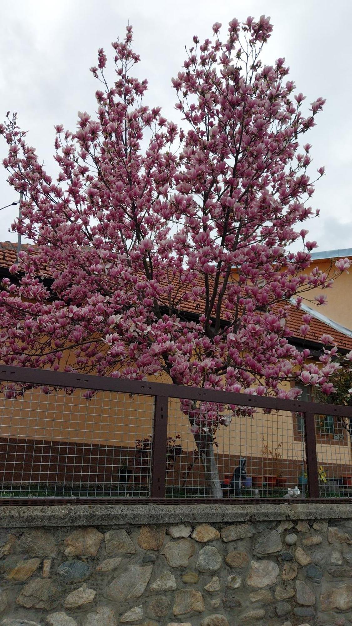 Ferienwohnung Casa Darius Orşova Exterior foto