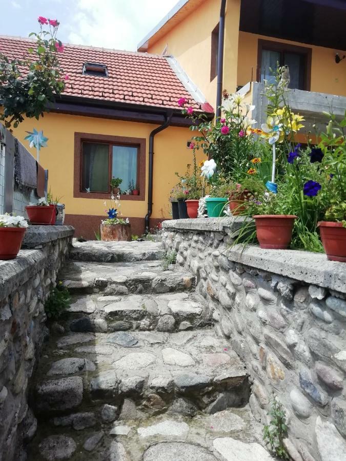 Ferienwohnung Casa Darius Orşova Exterior foto